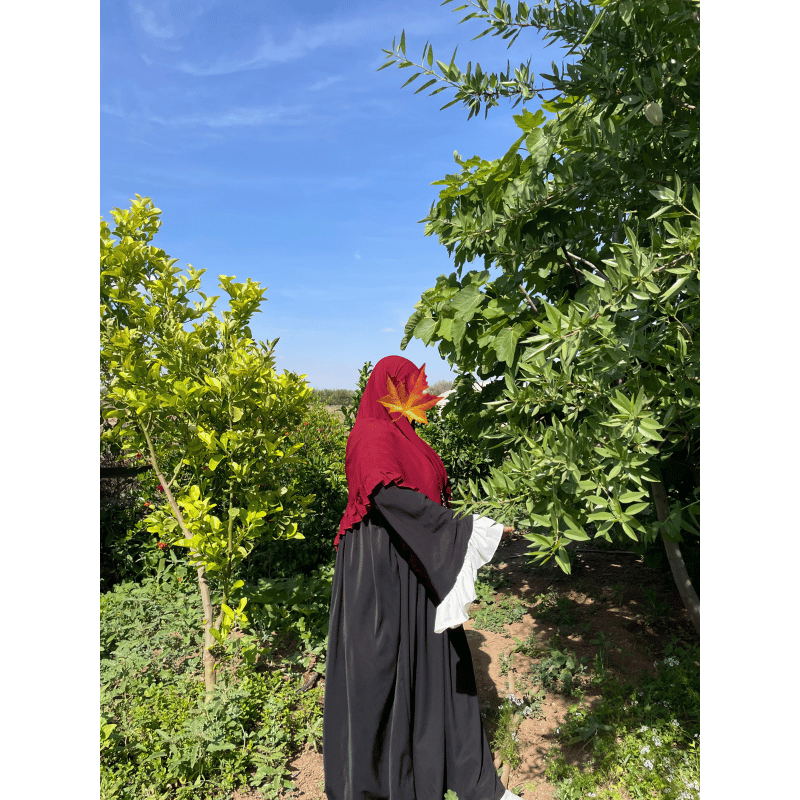 موديل نور الملكي